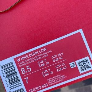 Nike dunks brand new